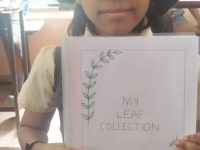 WhatsApp Image 2025-11-10 at 10.18.13 AM